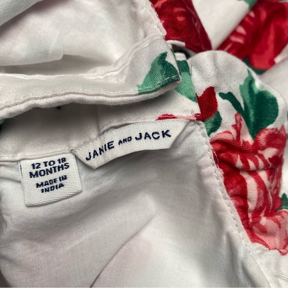 Janie and Jack Holiday Party Rose Dress - Picture 9 of 9